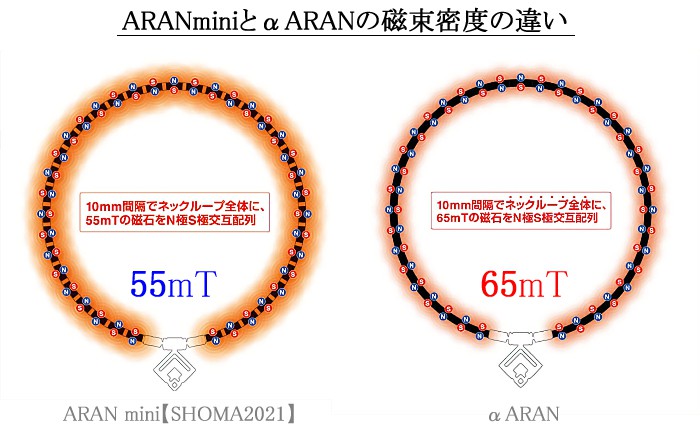 ARAN mini【SHOMA2021】とαARANの磁束密度の違い